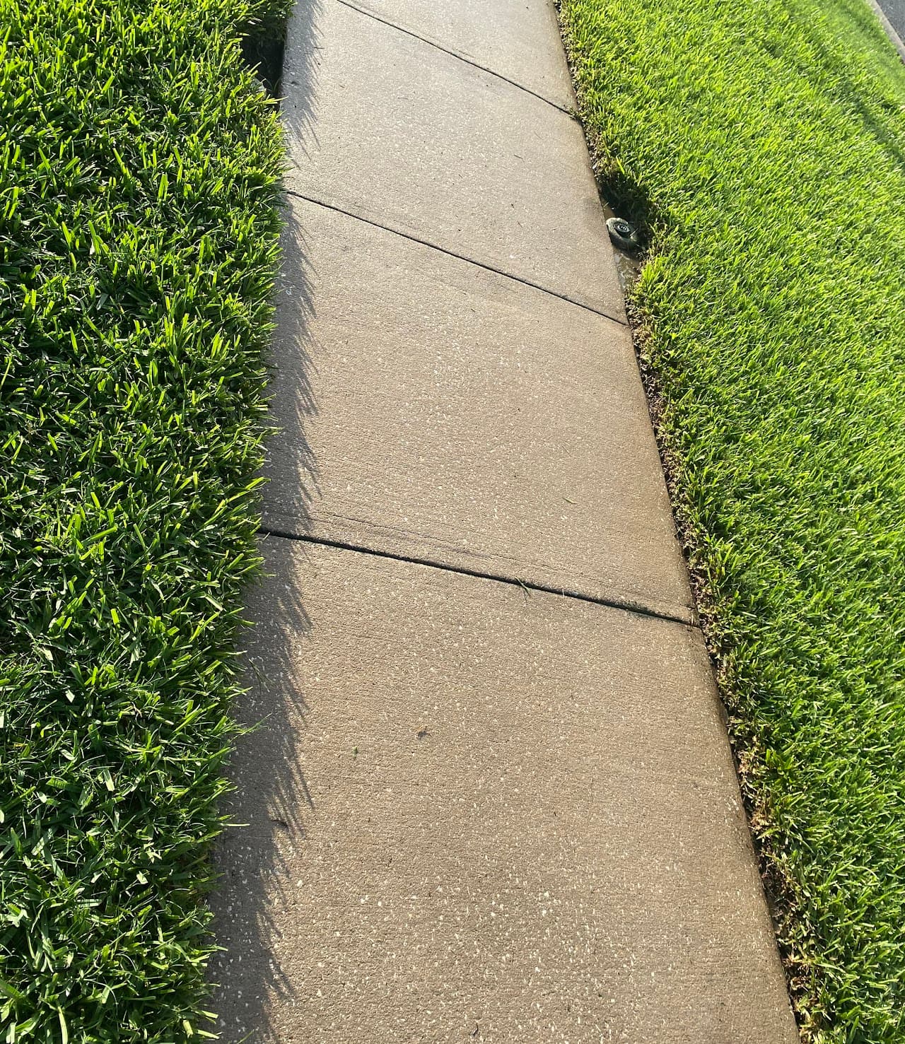 After cleaning